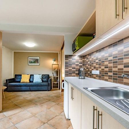 Apartment Vaclavov Decin Eksteriør bilde