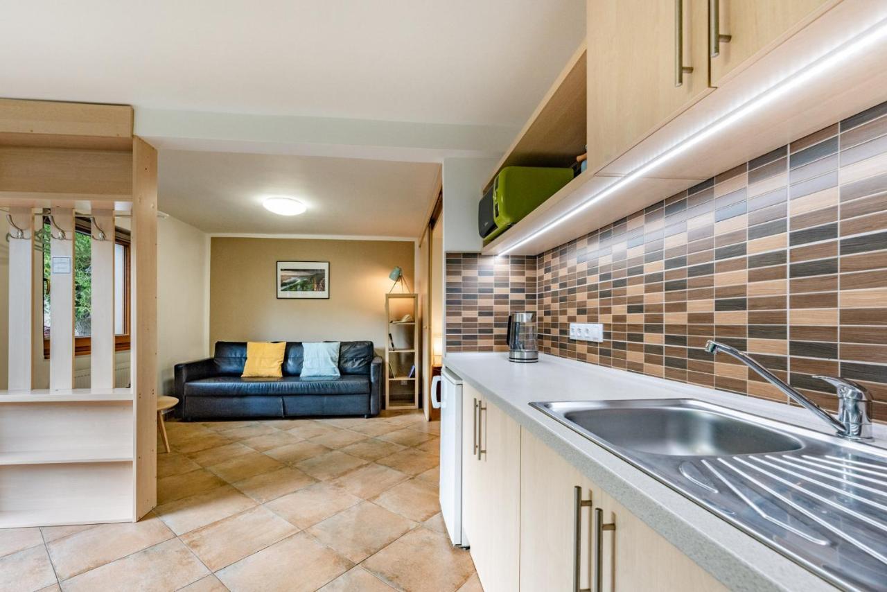 Apartment Vaclavov Decin Eksteriør bilde